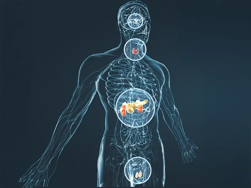 JellyFil supporting a healthy stress response